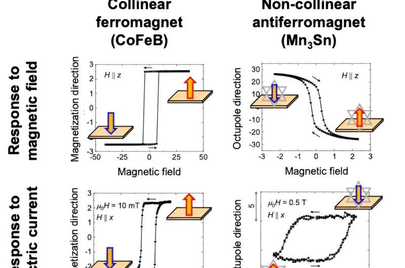 Unveiling the anomalous dynamics of non-collinear antiferromagnets
