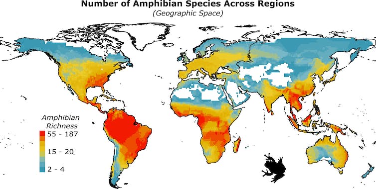 map of continents showing areas with more amphibian species marked red, mostly in the tropics