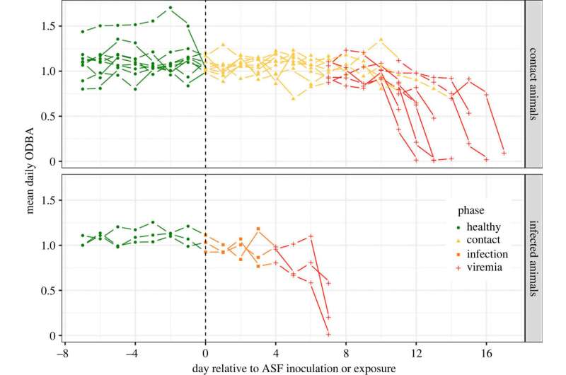 Movement sensors can detect disease in wild boar