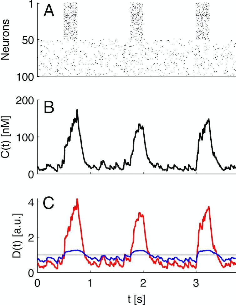 Diagram depicting the phasic peaks and tonic valleys of dopamine levels