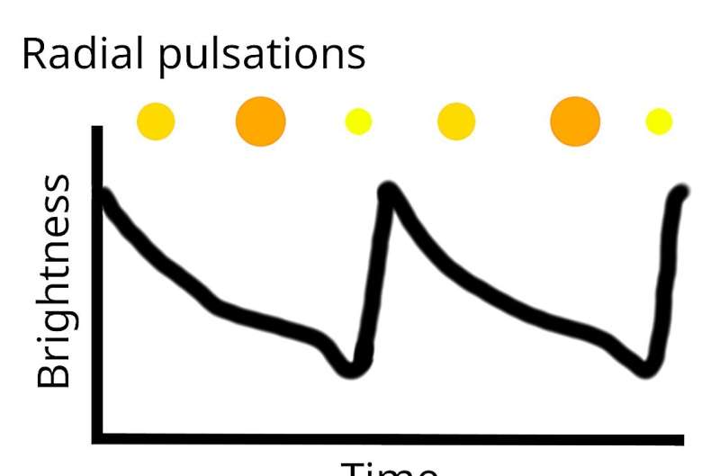 How do you weigh a star? Masses of RR Lyrae stars revealed through their pulsations