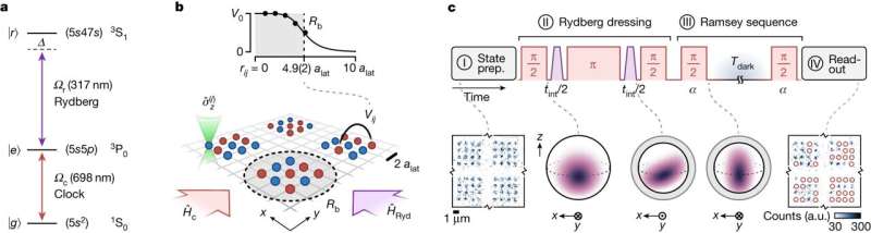 New spin-squeezing techniques let atoms work together for better quantum measurements