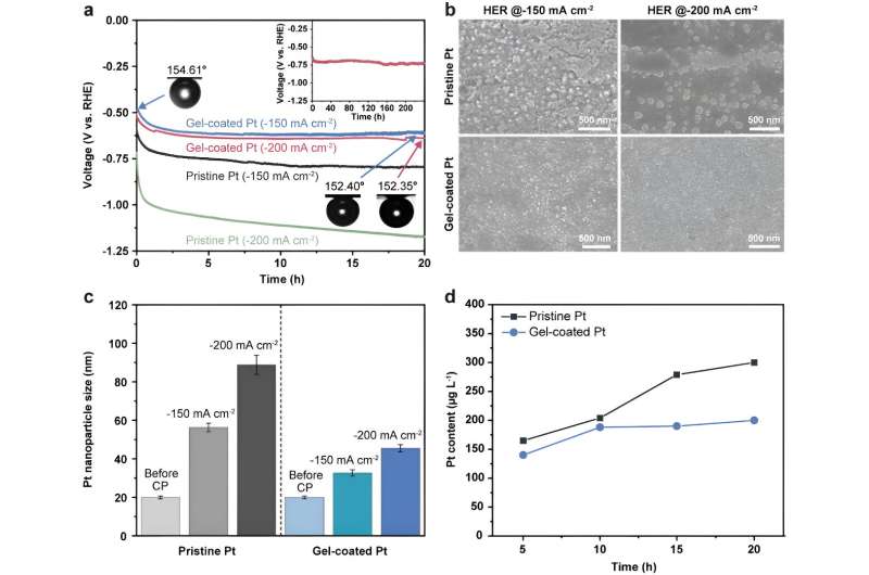 Breakthrough hydrogel technology boosts efficiency and stability of gas evolution reactions