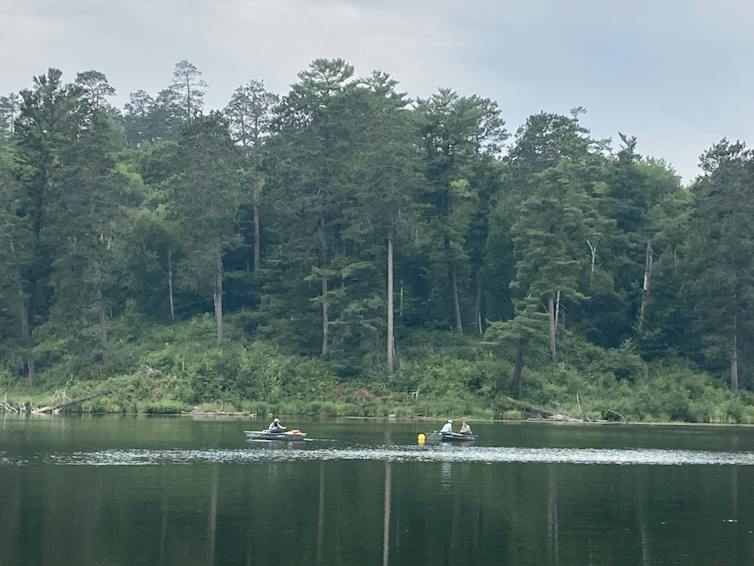 Smooth lake with boats in the distance against woodsy shoreline