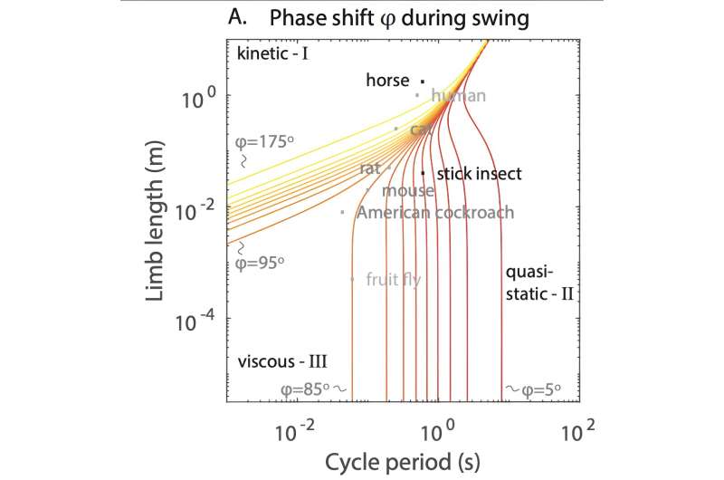 A single parameter to describe animal locomotion