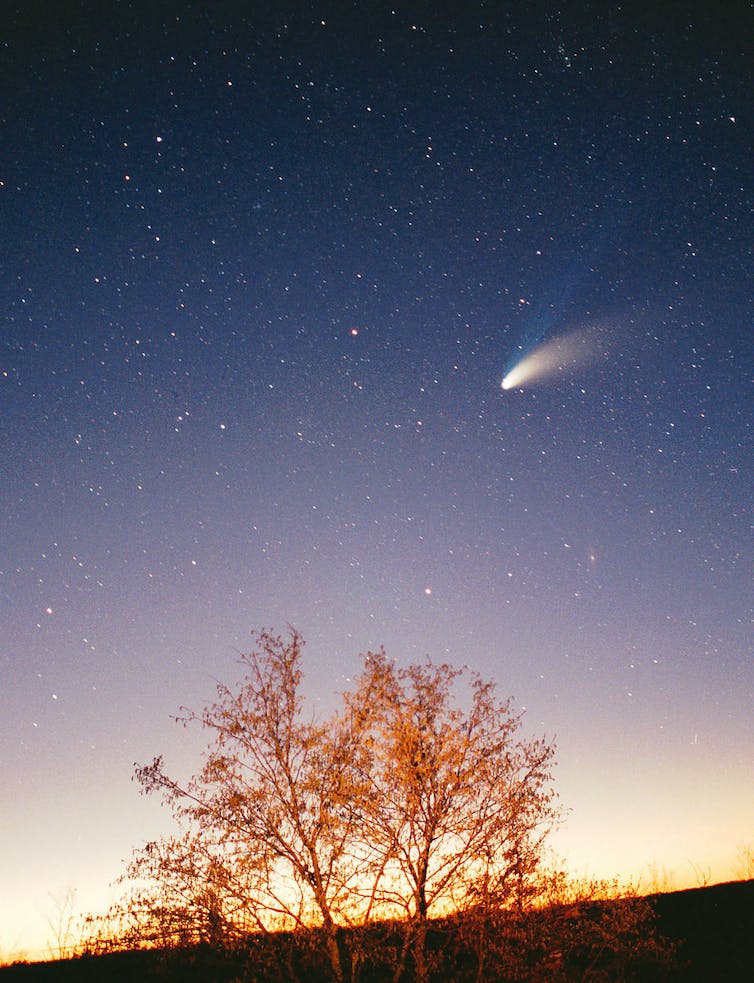 Starry sky with a comet in the mid left portion of the image and a tree in the foreground