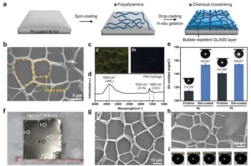 Breakthrough hydrogel technology boosts efficiency and stability of gas evolution reactions