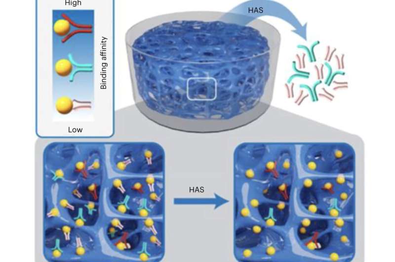 Novel hydrogel finds new aptamers, or 'chemical antibodies,' in days