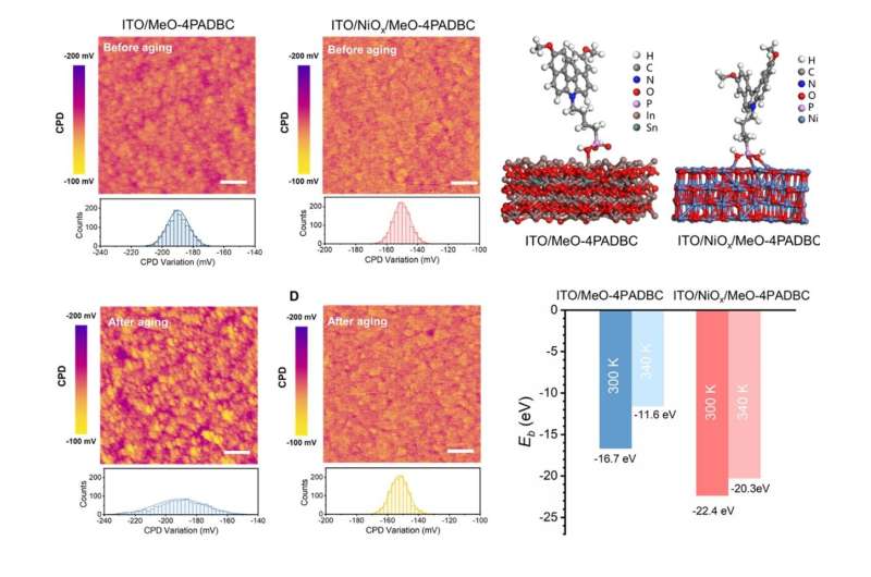 Pivotal breakthrough in adapting perovskite solar cells for renewable energy