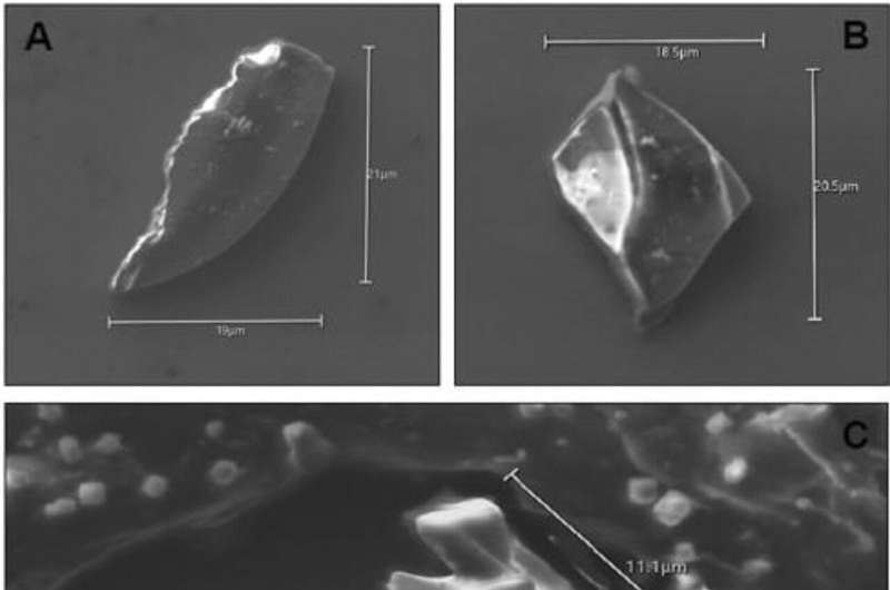 Volcanic fallout from Taupō eruption 1,800 years ago found in Antarctic ice core