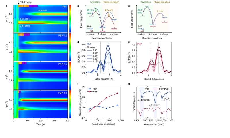 Scientists propose perovskite film homogenizing strategy to increase conversion efficiency