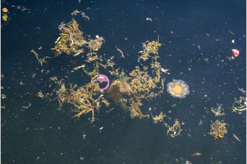 Scientists caution against a reliance on mechanical devices to clear water bodies of plastic
