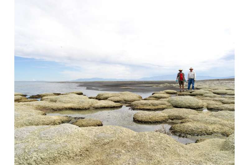 Neurotoxin BMAA found in dust from great salt lake