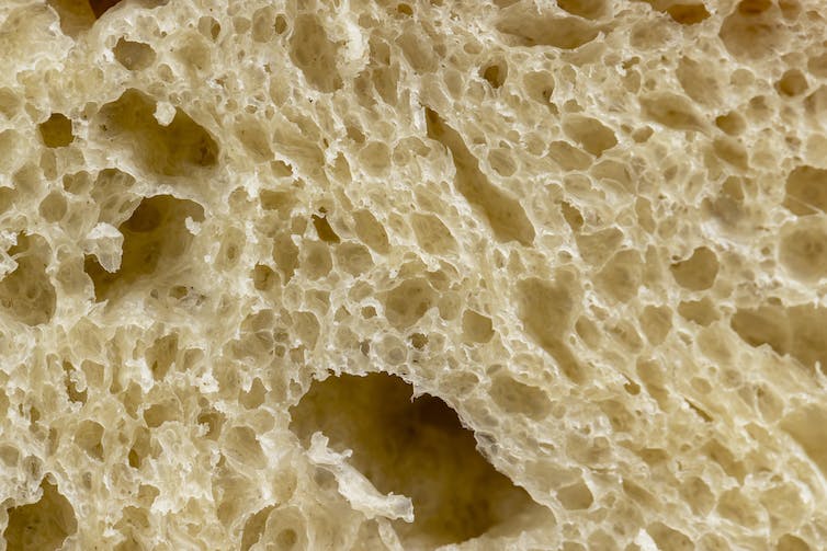 A close up of a slice of bread, showing the white gluten network with darker holes.