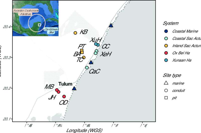 Yucatán's underwater caves host diverse microbial communities