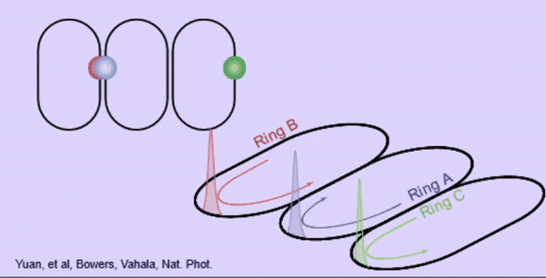 Conjoined 'racetracks' make new optical device possible