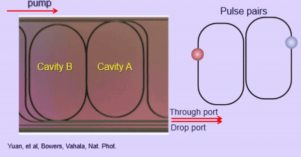 Conjoined 'racetracks' make new optical device possible