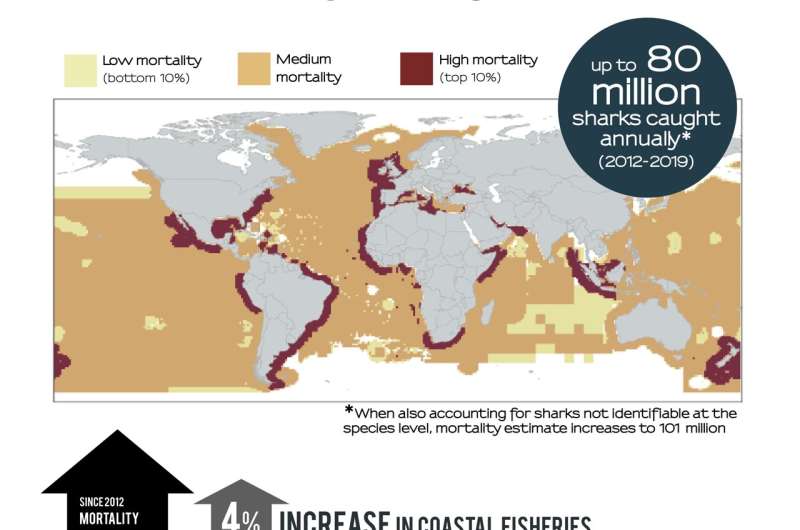 A global study reveals pathways to save threatened sharks, despite rising mortality trends