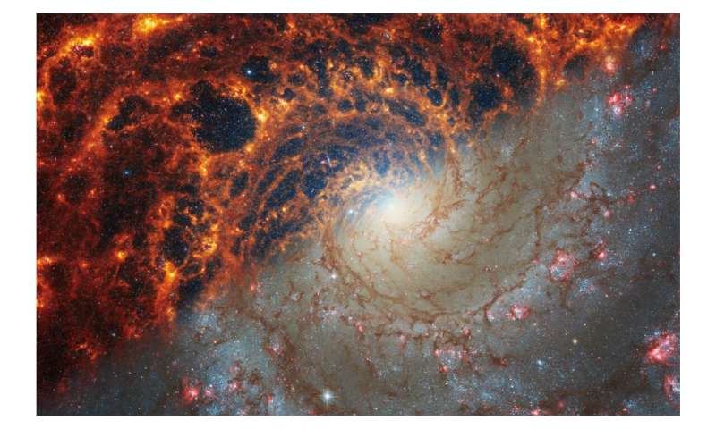 NASA's Webb depicts staggering structure in 19 nearby spiral galaxies