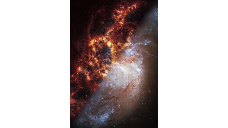 NASA's Webb depicts staggering structure in 19 nearby spiral galaxies