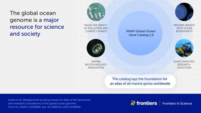 Largest-ever study of ocean DNA has created essential catalog of marine life