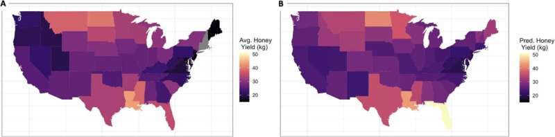 Why are bees making less honey? Study reveals clues from five decades of data