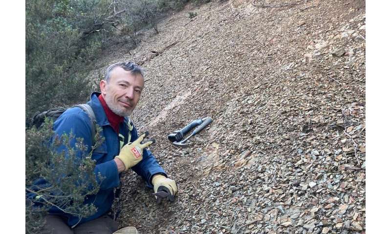 New fossil site of worldwide importance uncovered in southern France