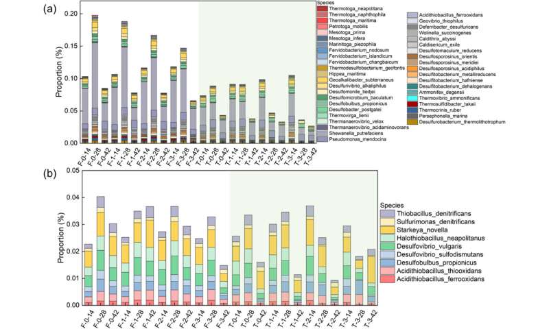 PolyU researchers introduce biomineralisation as a sustainable strategy against microbial corrosion in marine concrete