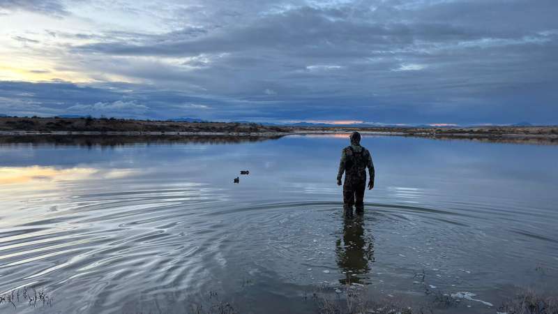 Forever chemicals reach extraordinary levels in wildlife at Holloman Air Force Base