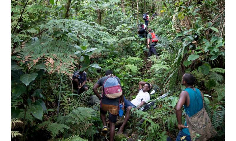 How did a tiny bee get to French Polynesia? Eight new species help solve a scientific mystery