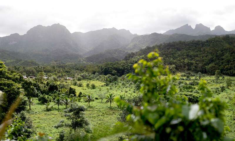 How did a tiny bee get to French Polynesia? Eight new species help solve a scientific mystery