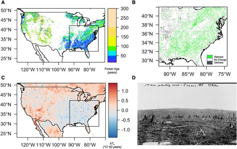 A century of reforestation helped keep the eastern US cool, study finds