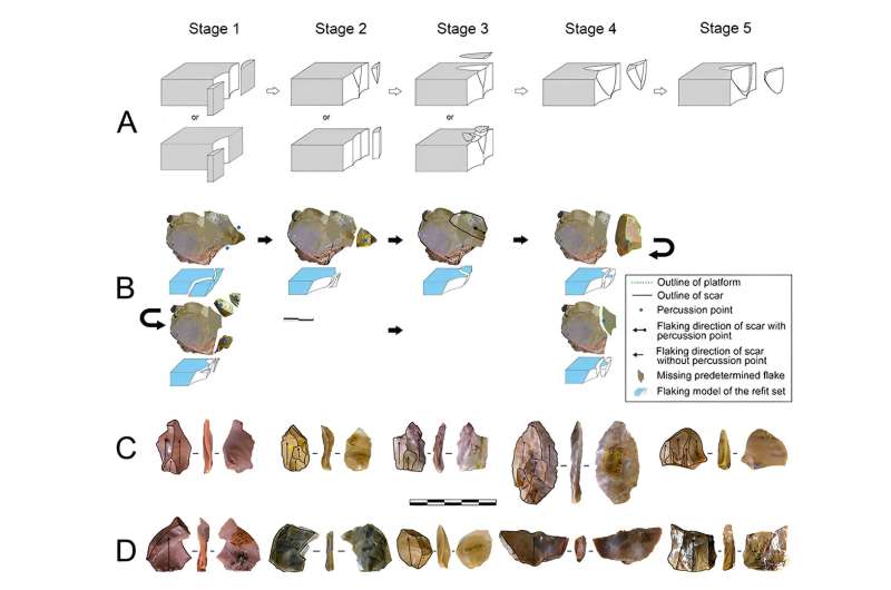 New timeline for East Asian hominins' tool-making revealed
