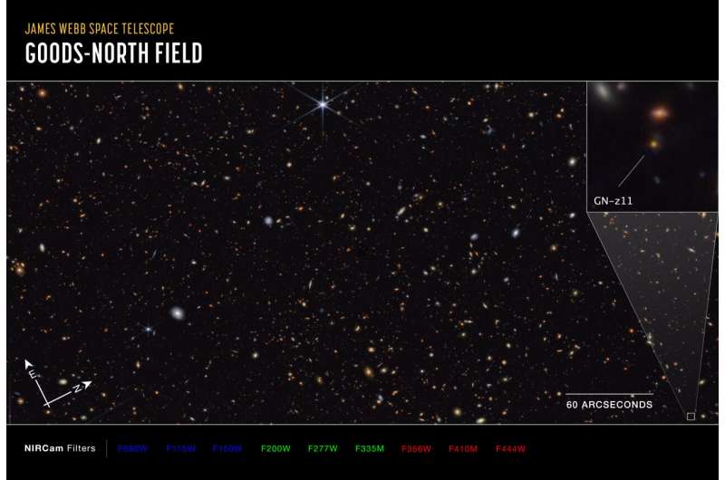 Webb unlocks secrets of primeval  galaxy