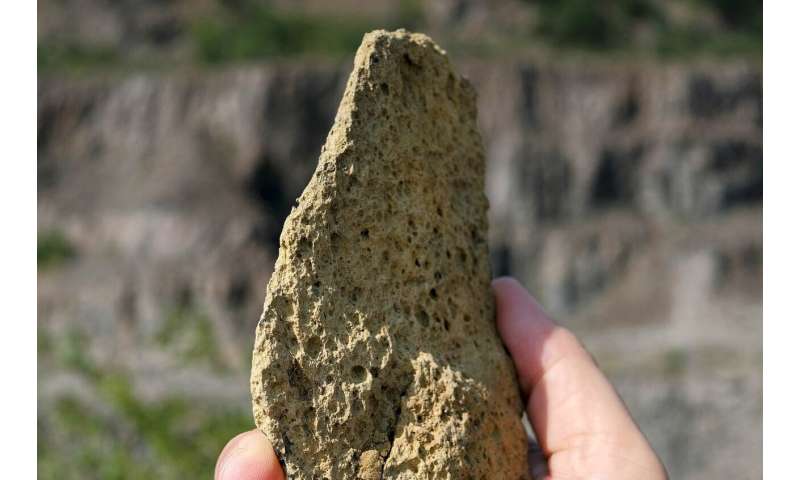 Ancient stone tools found in Ukraine date to over 1 million years ago, and may be oldest in Europe