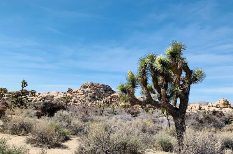 Mapping the future's sweet spot for clean energy and biodiversity