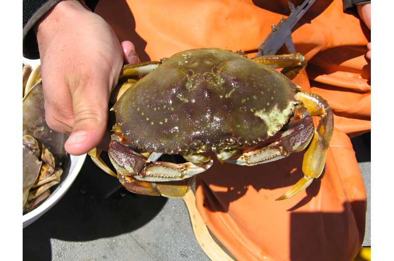 Hypoxia is widespread and increasing in the ocean off the Pacific Northwest coast