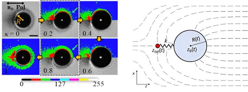 Researchers uncover revolutionary phenomenon in liquid crystals