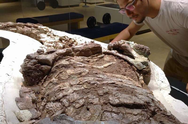 Tanks of the Triassic: new crocodile ancestor identified