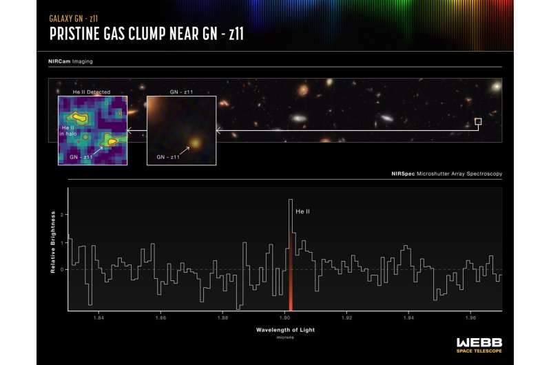 Webb unlocks secrets of primeval  galaxy