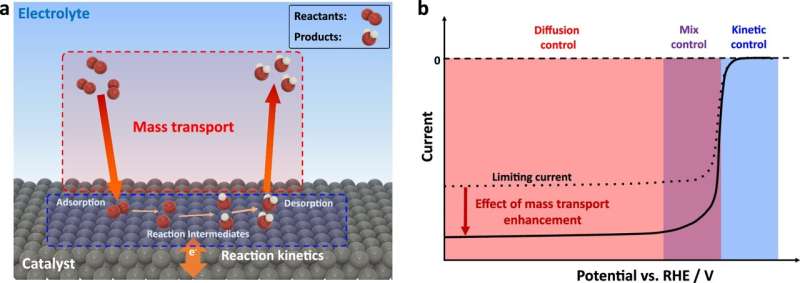 Study shows magnetic fields boost clean energy