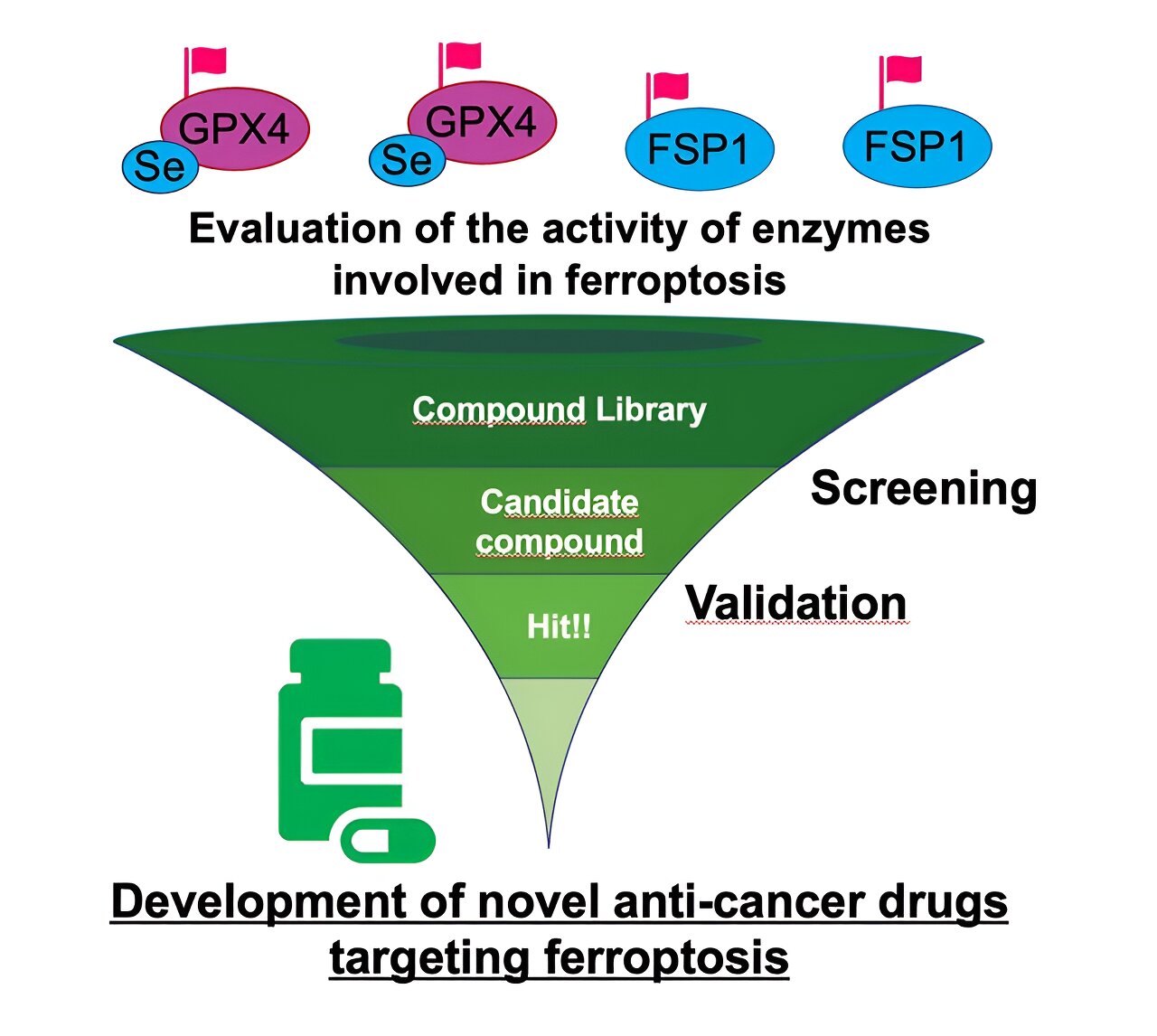 New Method Can Evaluate Enzyme Involved In Process Associated With 