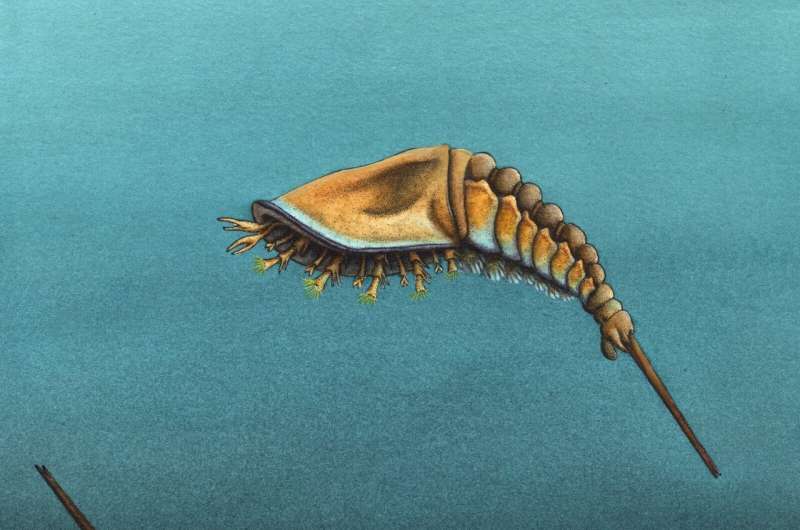 Discovery of the first ancestors of scorpions, spiders and horseshoe crabs