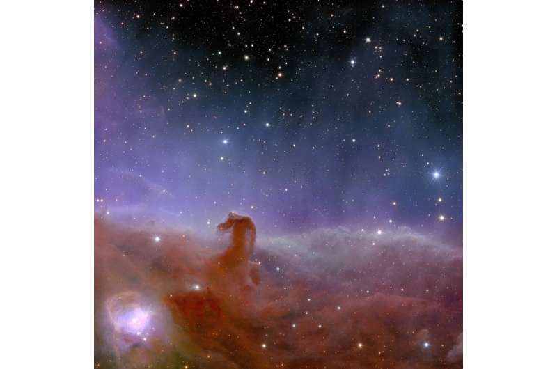 The planets were spotted during Euclid's observations of the Horsehead Nebula, depicted in a colourful image released in November