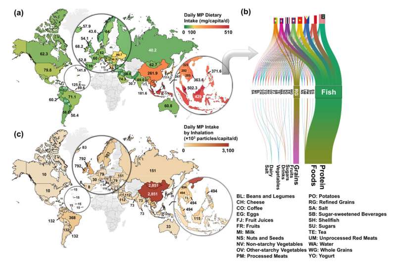 Study maps human uptake of microplastics across 109 countries