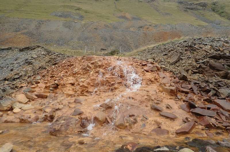 Trout in mine-polluted rivers are genetically 'isolated'