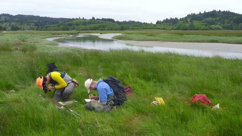 Tsunami sands help scientists assess Cascadia earthquake models