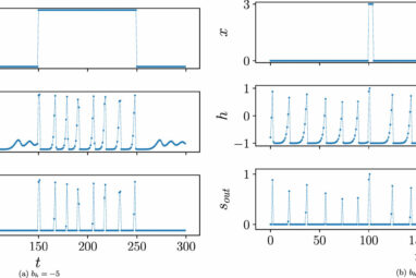 A new spiking neuron narrows the gap between biological and ...