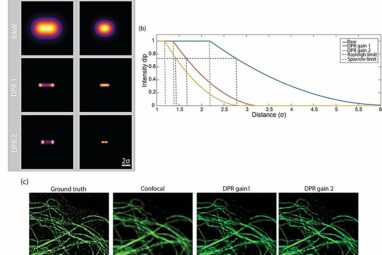 Novel algorithm successfully improves microscopy resolution ...