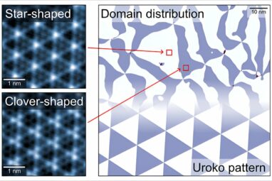 Alternating triangular charge density wave domains observed within ...